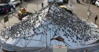 Generic placeholder image