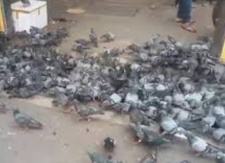 Generic placeholder image