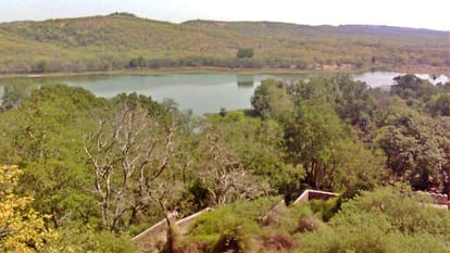 Generic placeholder image