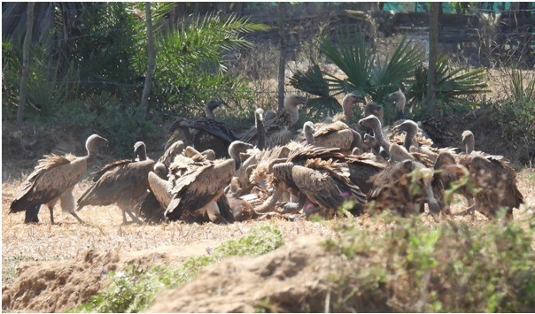 Generic placeholder image