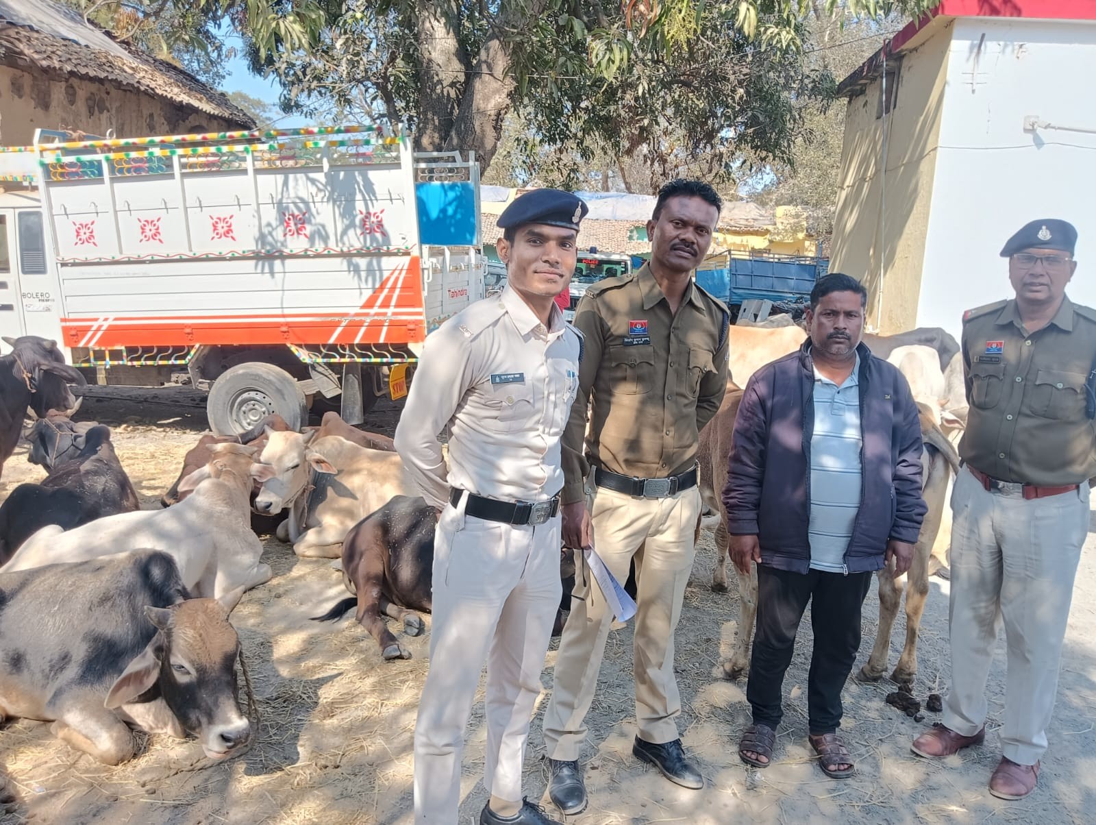 Generic placeholder image