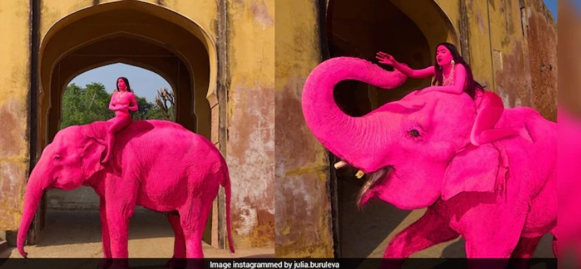 Generic placeholder image