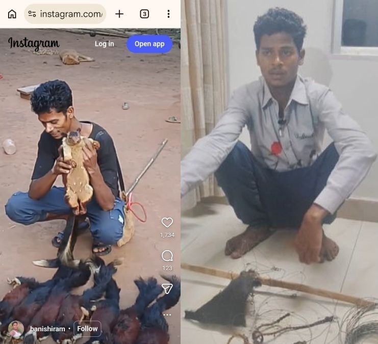 Generic placeholder image