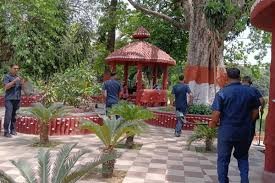 Generic placeholder image