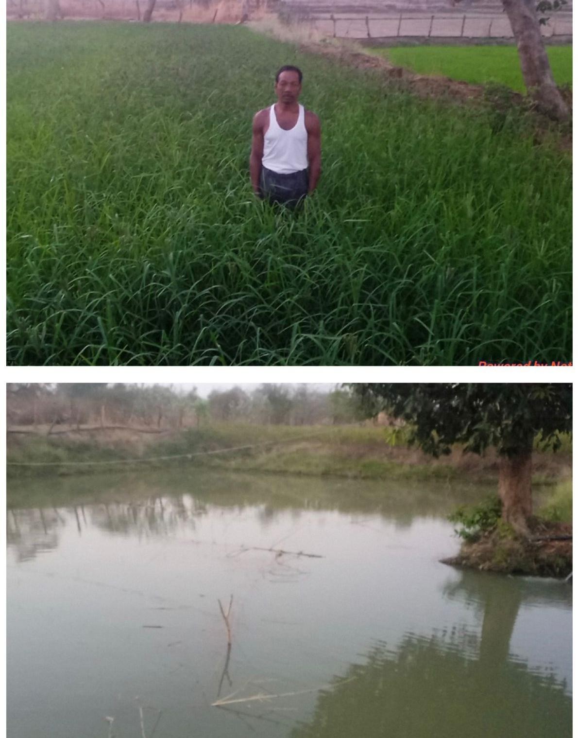 Generic placeholder image