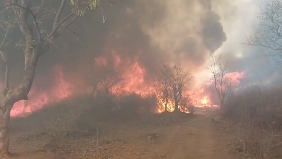 Generic placeholder image