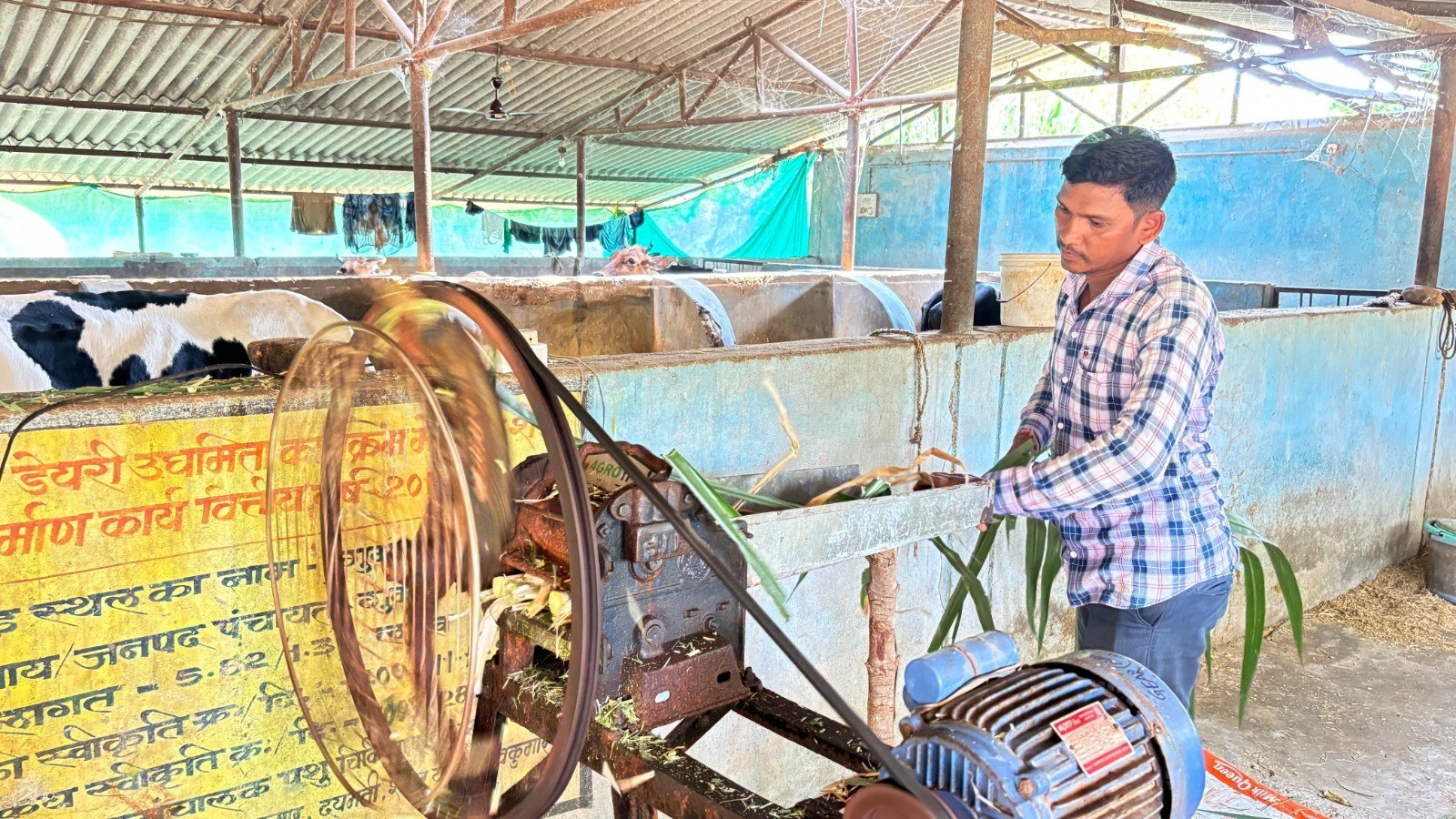 Generic placeholder image