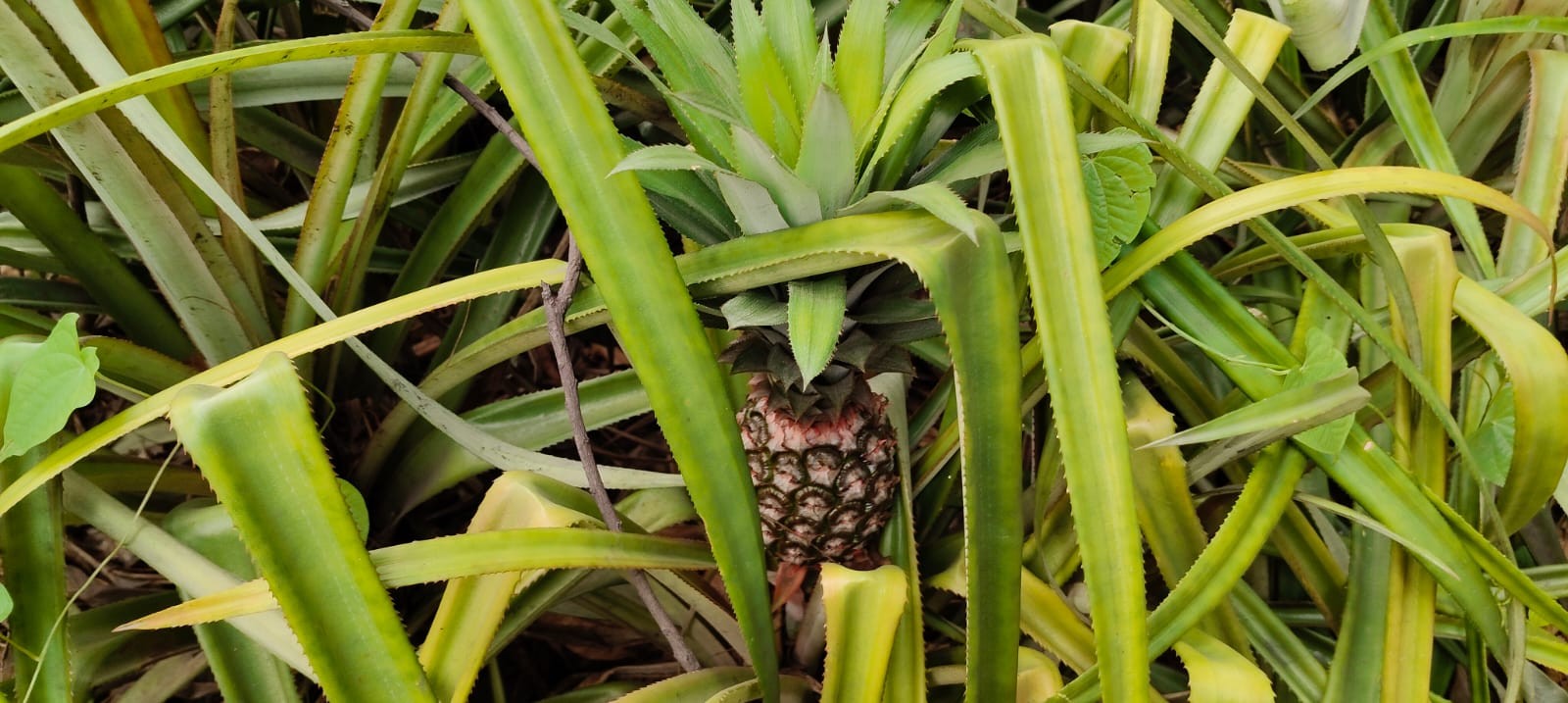Generic placeholder image
